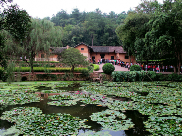 49年毛主席接見向三立，閒聊時主席：開慧要是在你家，就不會出事