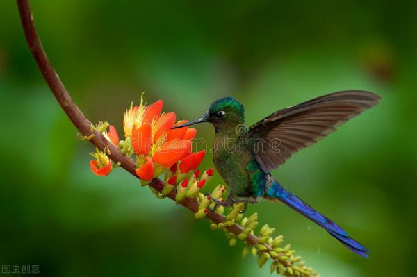 全世界60個國家的珍稀國寶