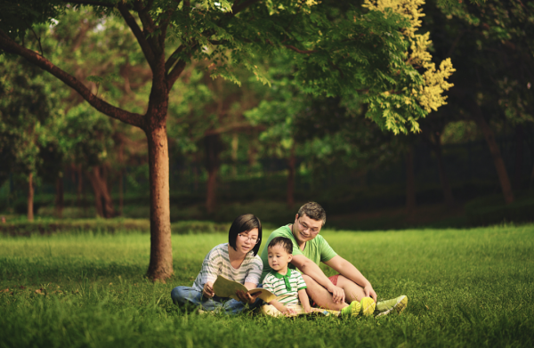 又一頂流逃稅被罰近1億！袁詠儀：“兒子，別進娛樂圈！”