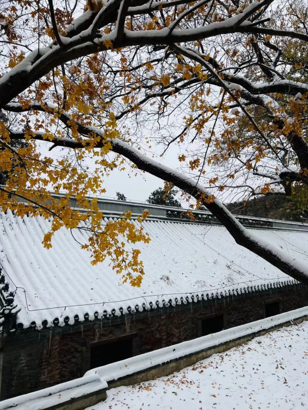 門城一夜雪，萬山披銀裝！