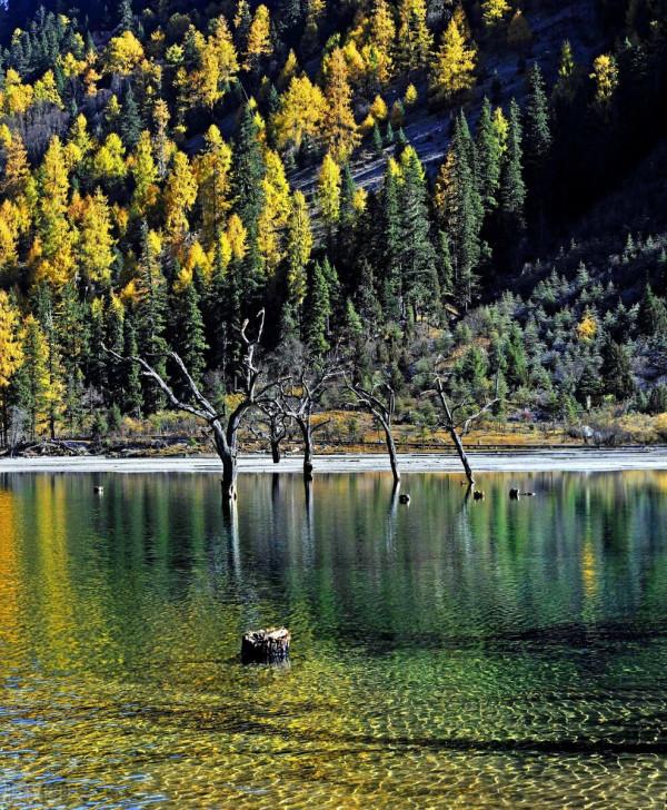 穿越千年,當秋日美景遇上古詩詞,許你一個詩意的山河 穿越千年,當秋日美景遇上古詩詞,許你一個詩意的山河