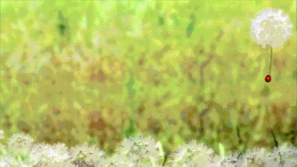 16部超讚自然紀錄片，讓孩子足不出戶看到地球的“真實面目”！