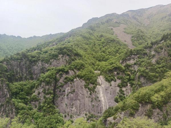 秦嶺深處的高山草甸，朱雀森林公園