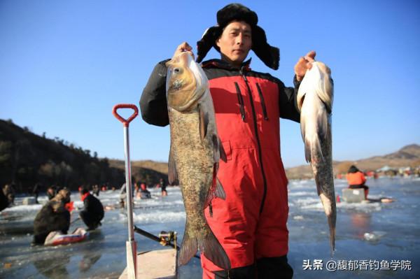 北方冬季冰釣有哪幾種方式？純冰釣、蹭線和錨魚的玩法