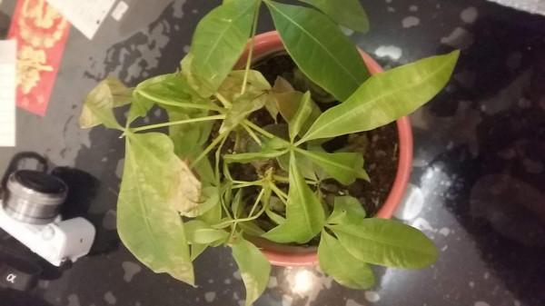 建議大家：不管再節儉，這25件東西能丟就丟，真的不用心疼