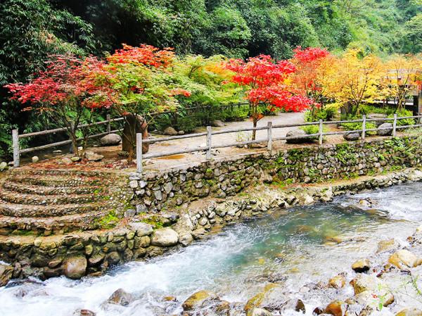 來萬盛“撩”最美的秋 來萬盛“撩”最美的秋