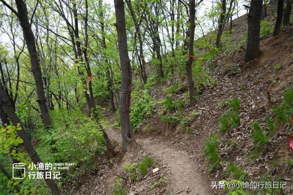 妹子西安秦嶺穿越,深山老林偶遇終南山隱士,他們的生活到底如何 妹子西安秦嶺穿越,深山老林偶遇終南山隱士,他們的生活到底如何