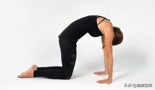 這7個準備姿勢幫助你建立力量 靈活性 耐力耐心 輕鬆掌握瑜伽烏鴉式