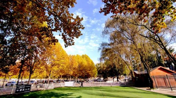 惠遊金秋,雞冠洞的炫彩千萬別錯過 惠遊金秋,雞冠洞的炫彩千萬別錯過