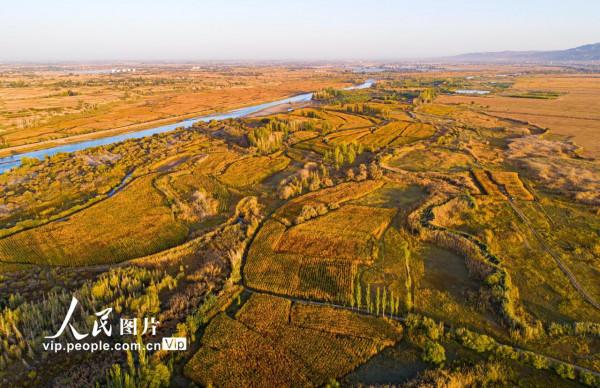 甘肅張掖：黑河兩岸秋景如畫