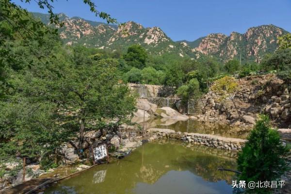 景美又好玩兒,體驗文化之旅,就在昌平這個大“花園”! 景美又好玩兒,體驗文化之旅,就在昌平這個大“花園”!