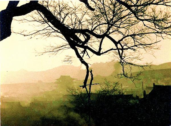 丈夫離奇身亡，案情一波三折，縣令破解奇案，壞人惡有惡報