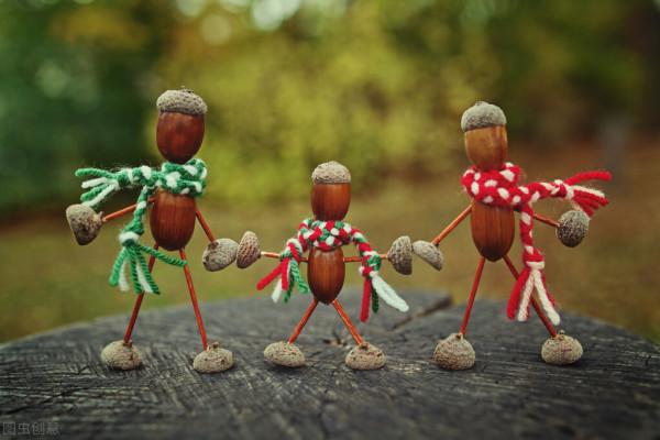 奇妙的橡子家族