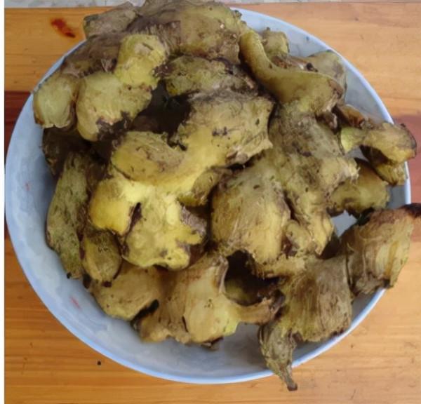 【馬博士聊本草】女科要藥（六）：姜的故事——神奇的姜