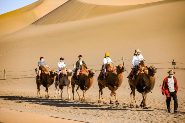 自駕穿越西北環線精華路段,5天4夜玩遍網紅景點,國慶就能去度假 自駕穿越西北環線精華路段,5天4夜玩遍網紅景點,國慶就能去度假