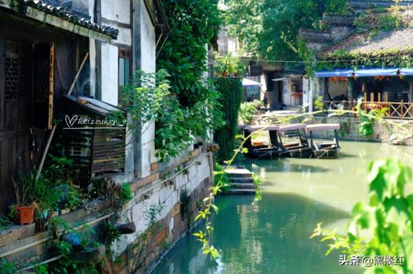 初遊新市古鎮，覺得這裡和烏鎮很像，後來才明白這“神似”的原因