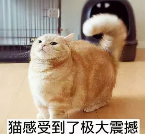 自從教會孩子“自私”，我心裡好受多了