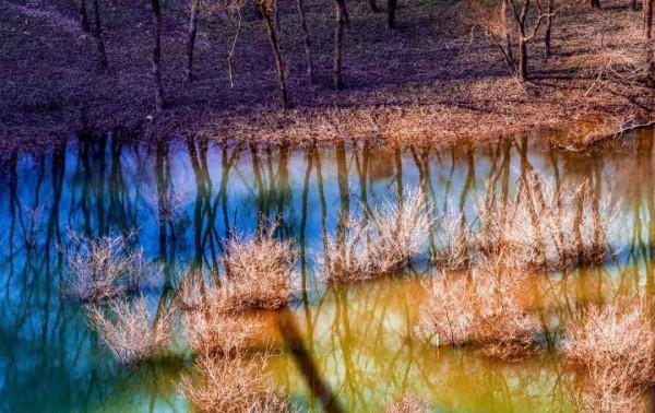 湖北鬱江：樹木與河水相映成趣