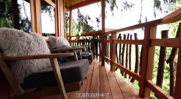 全程驚呼“老天爺”，國外女生接收樹屋滿目驚喜，這房子我給滿分