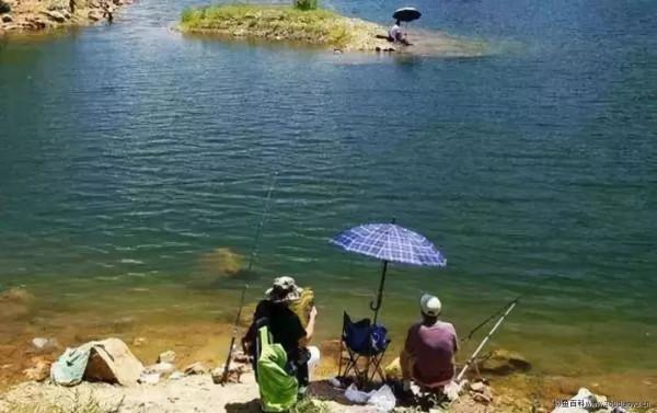 野釣時窩子裡有魚泡，久守卻無魚口，多半是這幾個原因