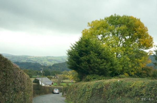 穿越1200萬隻羊的地方是種什麼感受？平均每人4頭羊，羊肉超好吃