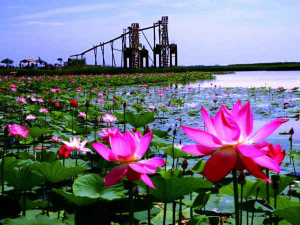 北京一“國家級公園”，入園需要提前3天預約，每年僅開放7個月