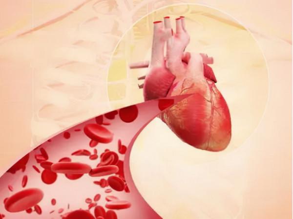 8種營養保健品，哪些才是老年人該真正補充的？看懂不花冤枉錢