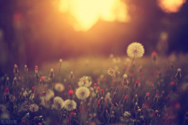 人間方望晚晴長:李商隱五律《晚晴》的多重含義 人間方望晚晴長:李商隱五律《晚晴》的多重含義