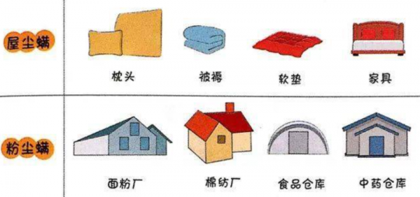 曬被子後有“太陽味”,是因為蟎蟲被烤焦了?科學家:太陽的功勞 曬被子後有“太陽味”,是因為蟎蟲被烤焦了?科學家:太陽的功勞