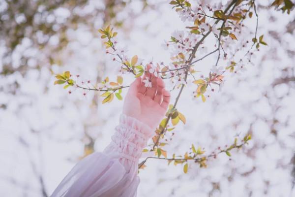 晏幾道最經典的10首宋詞,柔情似水,那麼美,那麼傷 晏幾道最經典的10首宋詞,柔情似水,那麼美,那麼傷