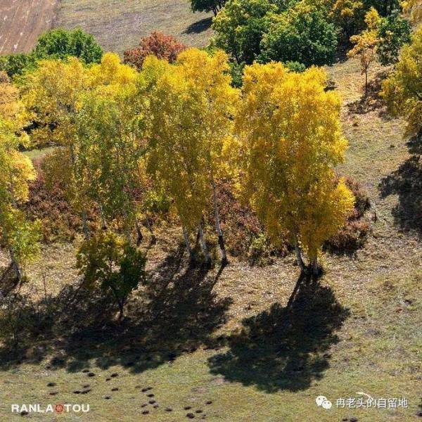 「青未了」冉令傑|南井,那一抹血紅的曙色 「青未了」冉令傑|南井,那一抹血紅的曙色