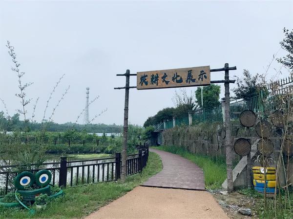 長三角這9條美麗鄉村休閒旅遊行（秋季）路線，你走過幾條？