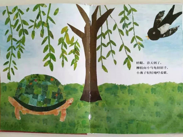 繪本導讀系列79《想看海的烏龜》