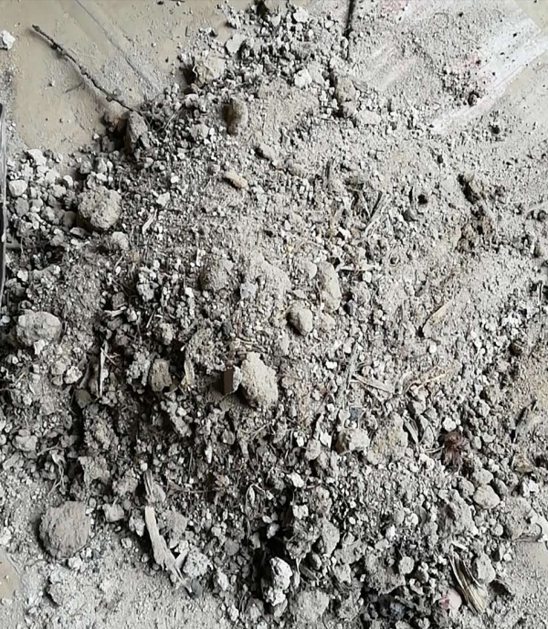 養花不會換盆？看我如何給小葉梔子換盆，一步一步操作給你看