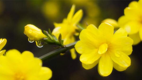 冬天真的是“老天爺收人”的季節嗎? 冬天真的是“老天爺收人”的季節嗎?