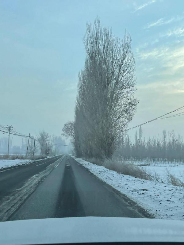 禾木、喀納斯之旅