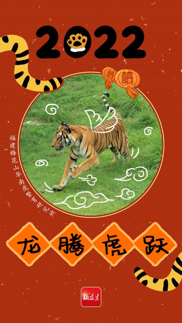 小&OpenCurlyDoubleQuote;腦斧&rdquo;給你拜年！接虎（fu）氣啦