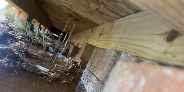 外國博主造了座房子之後灌滿水，就為體驗金魚在魚缸裡的生活