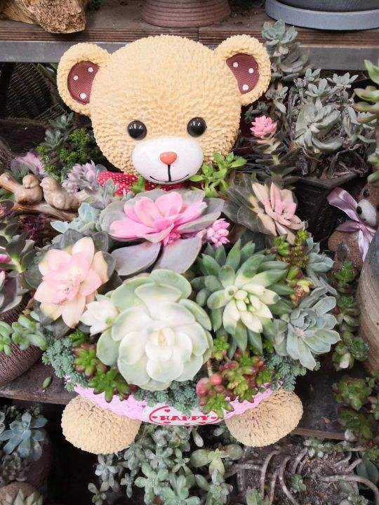 10月份逛花市，記住“4不買”，不吃虧不上當