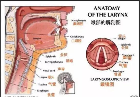 「嗓子疼、說話累」究竟怎麼解決？教你3招，輕鬆搞定