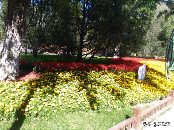 金秋十月，騎行大運河森林公園