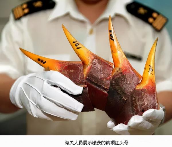 文玩圈裡的“三不能玩” 文玩圈裡的“三不能玩”