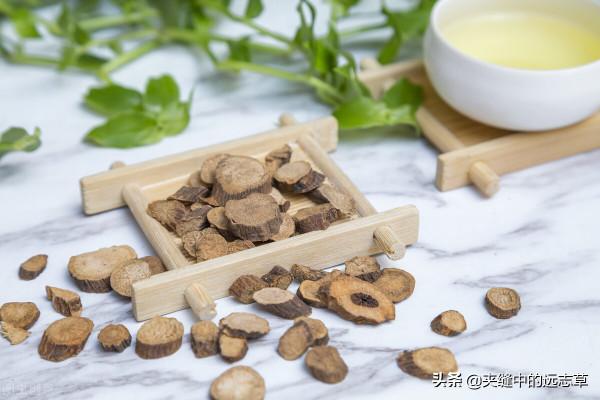 皮下出血，紫癜？送你四味中藥，清熱解毒，涼血散瘀，血寧瘀自消