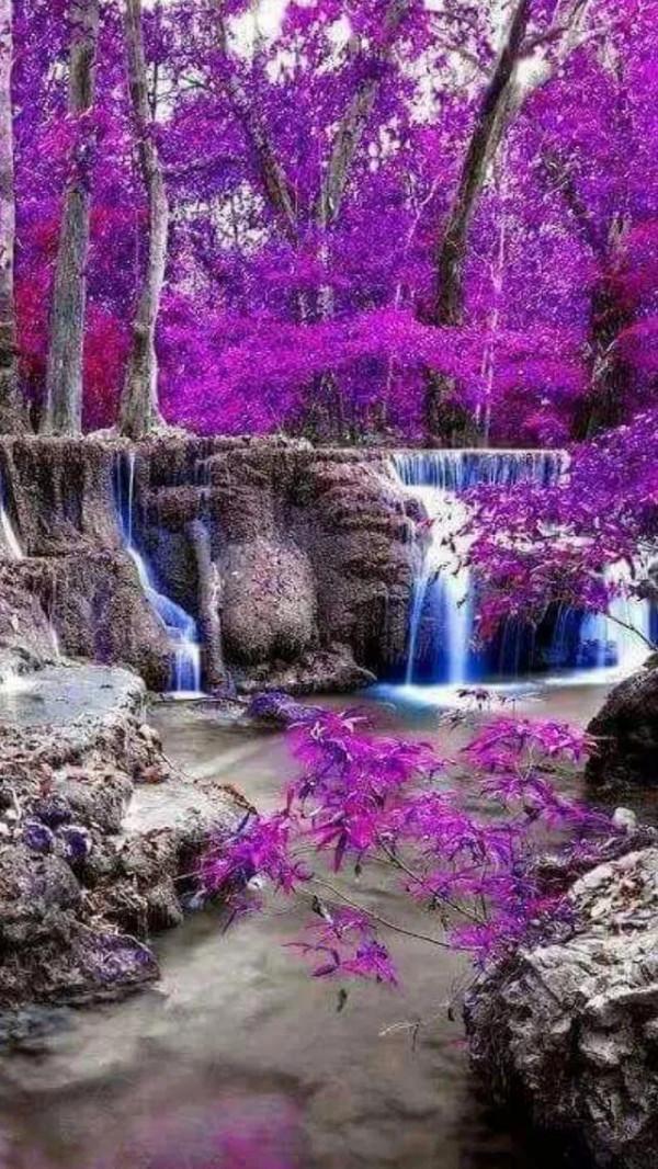 分享圖片&mdash;&mdash;奇美純淨風景集錦