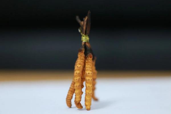 中藥的服用方法（一）