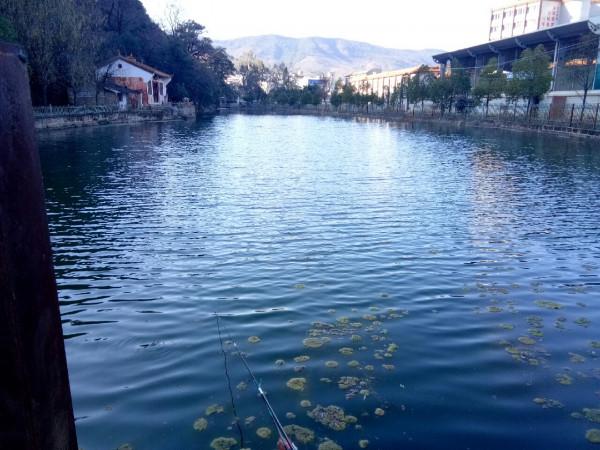 新年首釣的快樂，無非是真“打龜”了