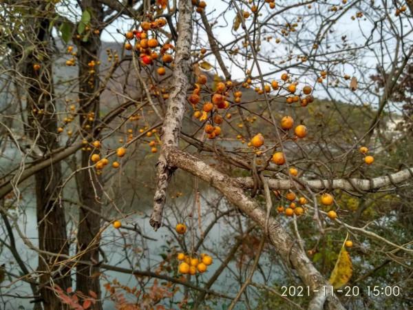 《遊老山響堂水庫》