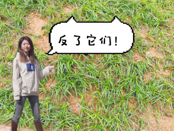 車圈反種草指南 車圈反種草指南