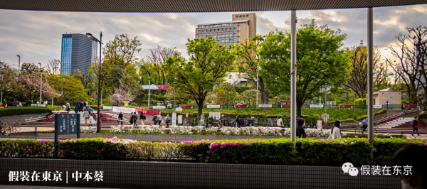在東京路邊,見到了日本新首相岸田文雄 在東京路邊,見到了日本新首相岸田文雄