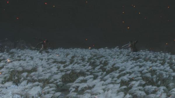 只狼：鐵打的狼，打鐵的我